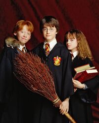 Trio in their younger days Harry, Ron and Hermione