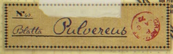 Etikett Blatta Pulvereus
