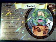 MandrakeFoil-TCG