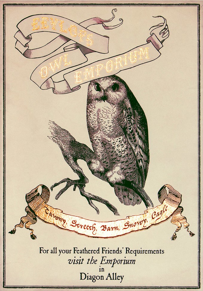 Eeylops Owl Emporium Harry Potter Poster - Boutique Harry Potter