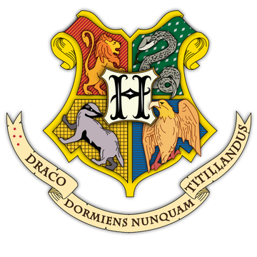 Harry Potter Hogwarts Black Crest Mug Official Warner Magic Wizard Spell Gift