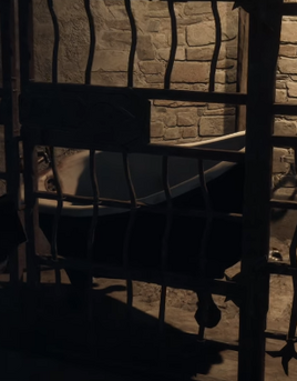 Caged Bathtub