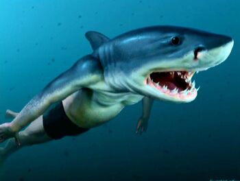 Conceptual Artwork of Viktor Krum (Half-human, Half-shark)