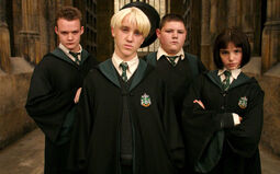 Draco and his gang.jpg