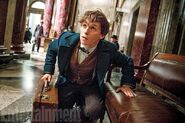 Eddie Redmayne als Newton Scamander