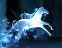 BayStallion-patronus.jpg (55 KB) Bay Stallion