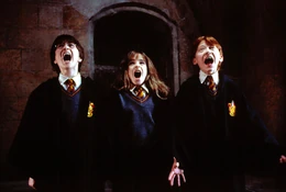 Finding-fluffy-1050x0-c-default