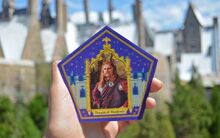 Hengist-of-Woodcroft-trading-card-from-The-Wizarding-World-of-Harry-Potter-1024x640.jpg