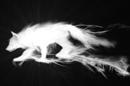 Patronus Wolf.jpg (11 KB) Nymphadora Tonks' Patronus