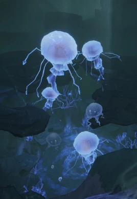 Gigantic jellyfish MA