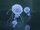 Gigantic jellyfish