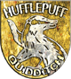 Hufflepuff™ Quidditch™ Badge.png