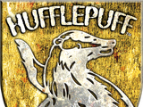 Hufflepuff Quidditch team