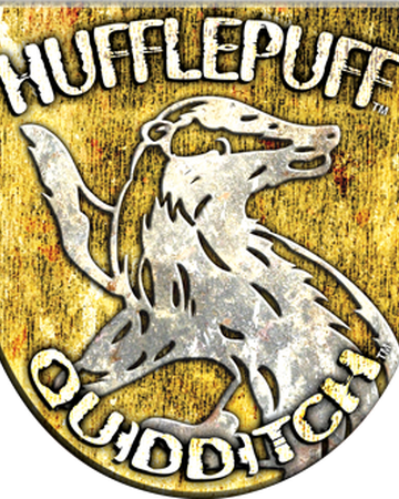Hufflepuff Quidditch Team Harry Potter Wiki Fandom