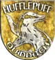 Hufflepuff™ Quidditch™ Badge