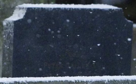 Peter G. (Dolina Godryka)
