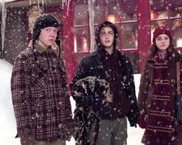 The-trio-in-hogsmeade-1050x0-c-default