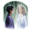 Deathly Hallows book Art (Chapter 34)
