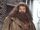 Rubeus Hagrid