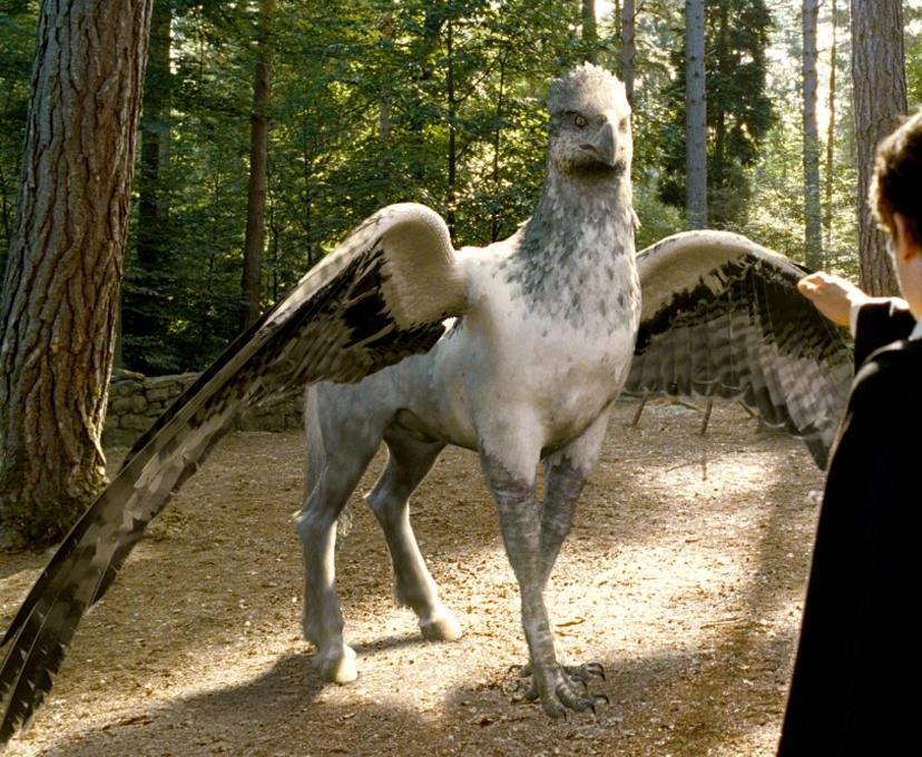 Harry Potter: Animaux fantastiques - Créatures magiques Hedwige
