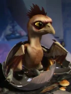 Occami-ovo.png (268 kB)