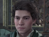 Sebastian Sallow
