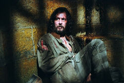 Sirius black