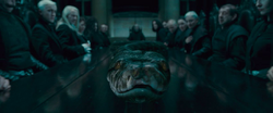 TrailerHP7PP-22.png