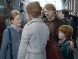 Granger-Weasley family