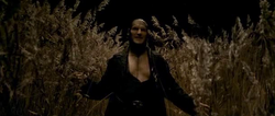 Greyback dodging harry's attack