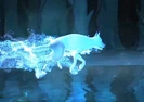 Husky Patronus.jpg (27 KB) Husky