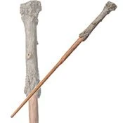 Stechpalme | Harry-Potter-Lexikon | Fandom
