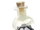 Felix Felicis