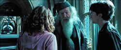 Harry, Hermione, & Dumbledore in hospital wing