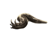 Rogaty ślimak.png