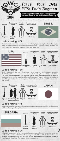 2014 Quidditch World Cup infographic