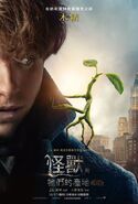 Fantastic Beasts INT Poster 03