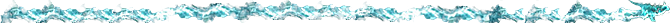Largepatronuswiki3.png