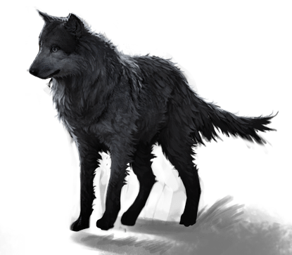 Loup Garou Wiki Harry Potter Fandom