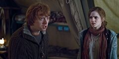 Ron-and-Hermione-Arguing