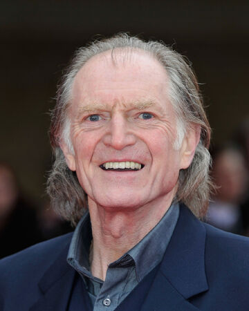 David Bradley Harry Potter Wiki Fandom