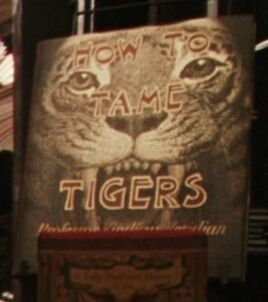 HowtoTameTigers