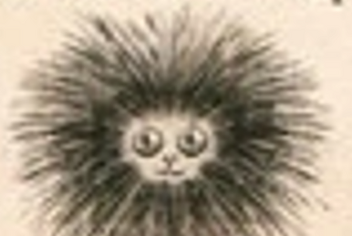 Pygmy Puff, Harry Potter Wiki