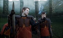 Cormac and Ron at Quidditch tryouts