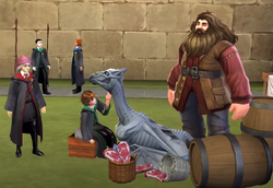 Merula Thestral