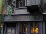 Museum of Muggle Curiosities