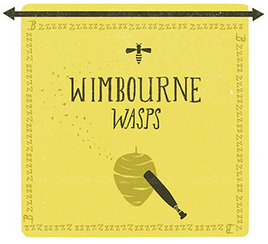 Wimbourne Wasps