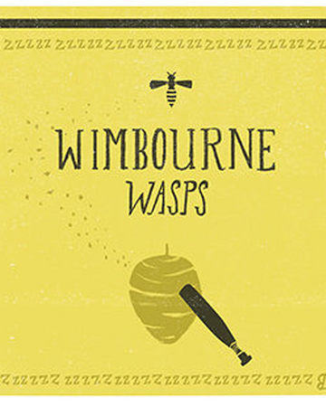 Wimbourne Wasps Harry Potter Wiki Fandom
