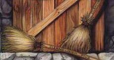 Cleansweep Five.jpg