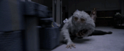 Dougal the Demiguise FBF